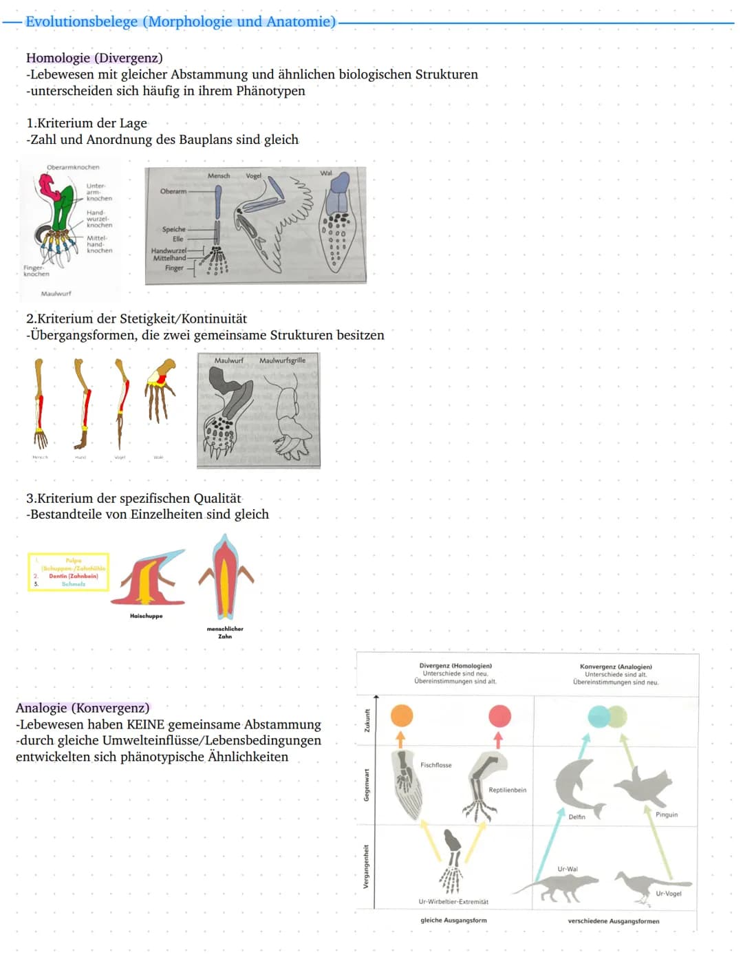 Leistungskurs
Genetik
Meiose und Rekombination
Analyse von Familienstammbäu-
men
✓
Proteinbiosynthese
Genregulation
Entwicklung eines Modell