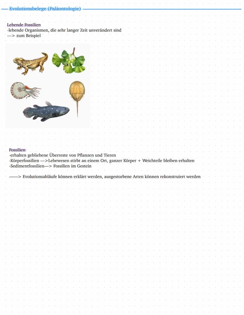 Leistungskurs
Genetik
Meiose und Rekombination
Analyse von Familienstammbäu-
men
✓
Proteinbiosynthese
Genregulation
Entwicklung eines Modell