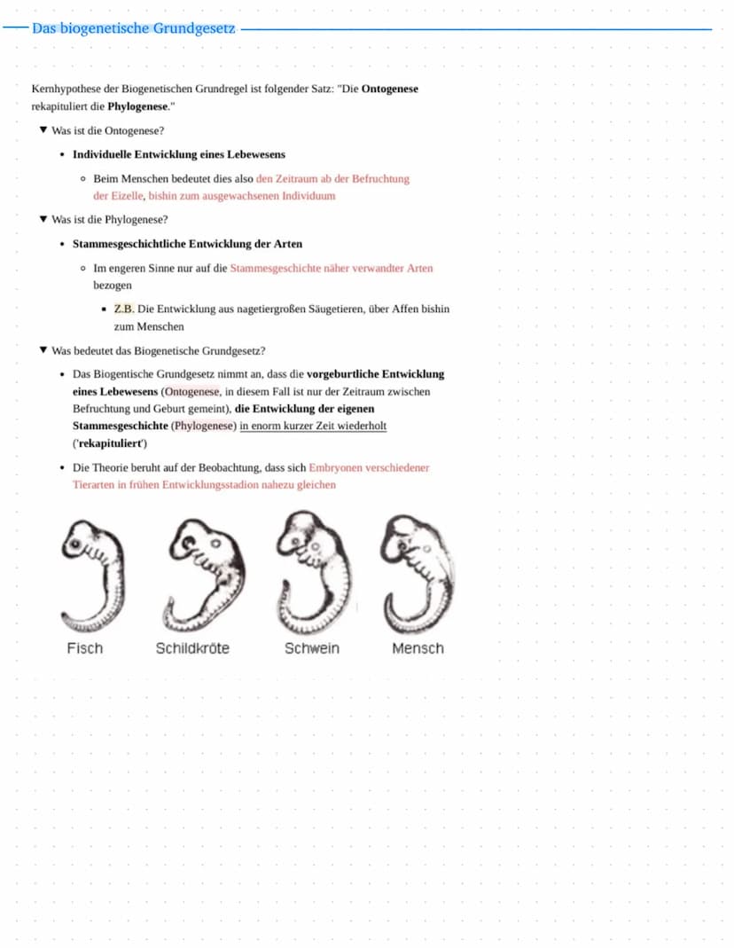 Leistungskurs
Genetik
Meiose und Rekombination
Analyse von Familienstammbäu-
men
✓
Proteinbiosynthese
Genregulation
Entwicklung eines Modell