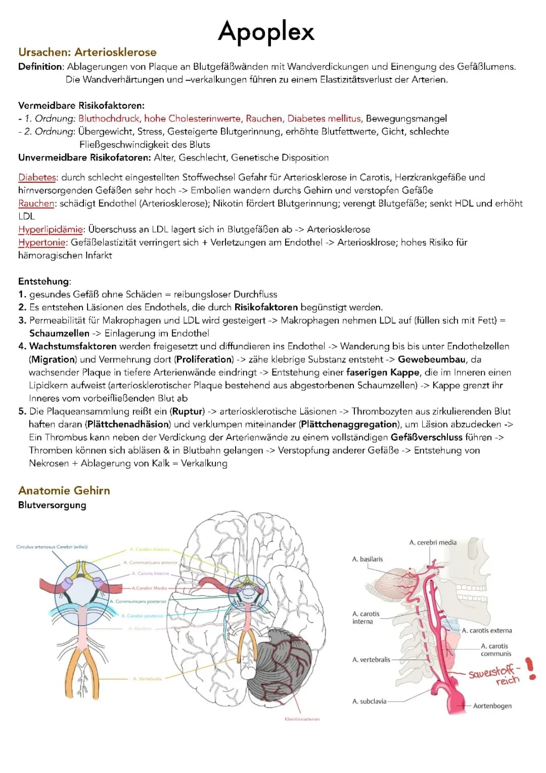 Pflege bei Apoplex Lernzettel Abitur 2023