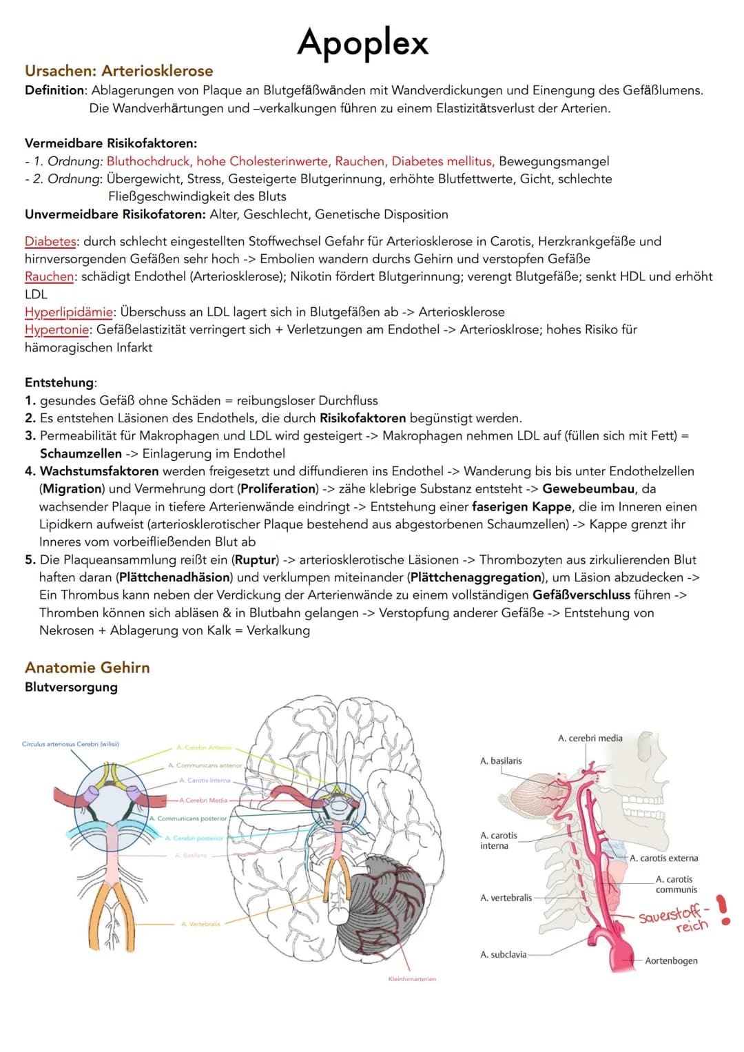 Apoplex
Ursachen: Arteriosklerose
Definition: Ablagerungen von Plaque an Blutgefäßwänden mit Wandverdickungen und Einengung des Gefäßlumens.
