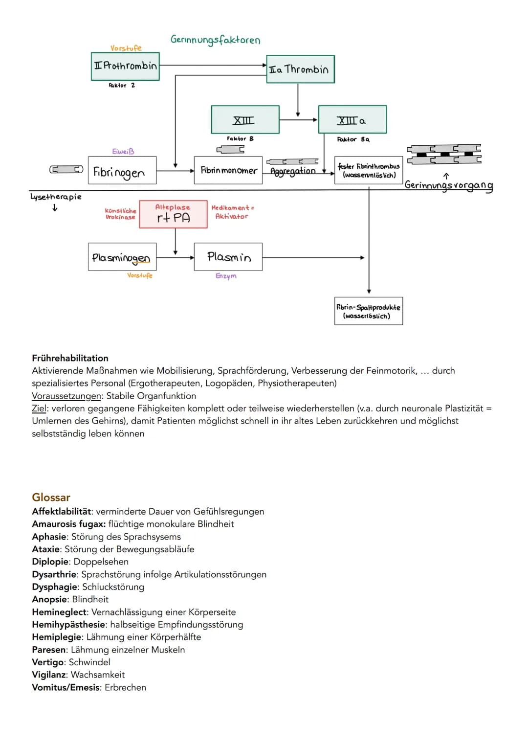 Apoplex
Ursachen: Arteriosklerose
Definition: Ablagerungen von Plaque an Blutgefäßwänden mit Wandverdickungen und Einengung des Gefäßlumens.