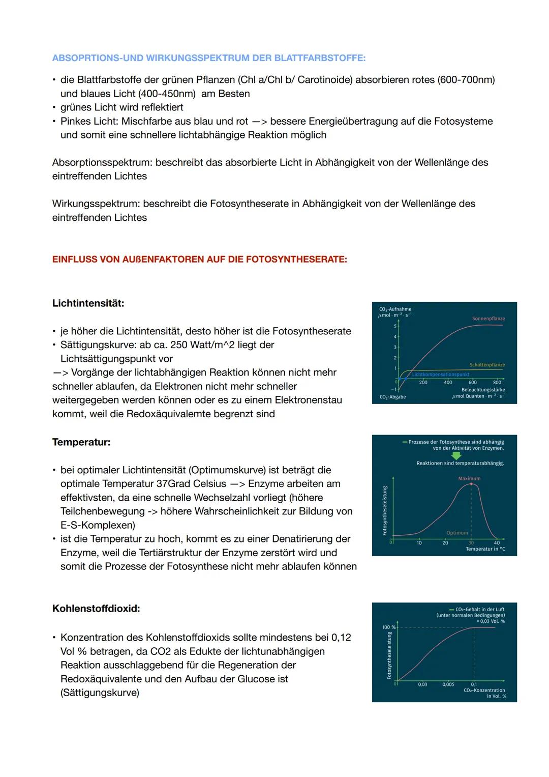 Fotosynthese

Grundlagen:

Aufbau eines Blattquerschnitts:



obere Epidermis
Palisadengewebe
Schwammgewebe
untere Epidermis
Spaltöffnung

A