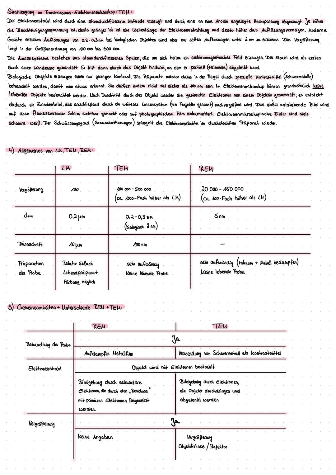 Mikroskopie
1) Bauteile LM
14.
15
2) Funktion der Bauteile
bündelt das Licht
auf das Objektiv.
eraeugt ein vergrößertes
2wischenbild des Obj