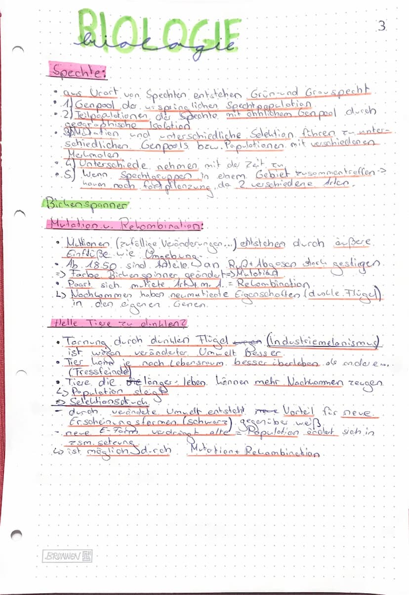 BIOLOGIE
• genetische Vielfalt oder Bandbreite in der Ausprägung der
Merlimale (Größe, Farbe,...).
Population:
• die Fostpflanzungsgemeinsch