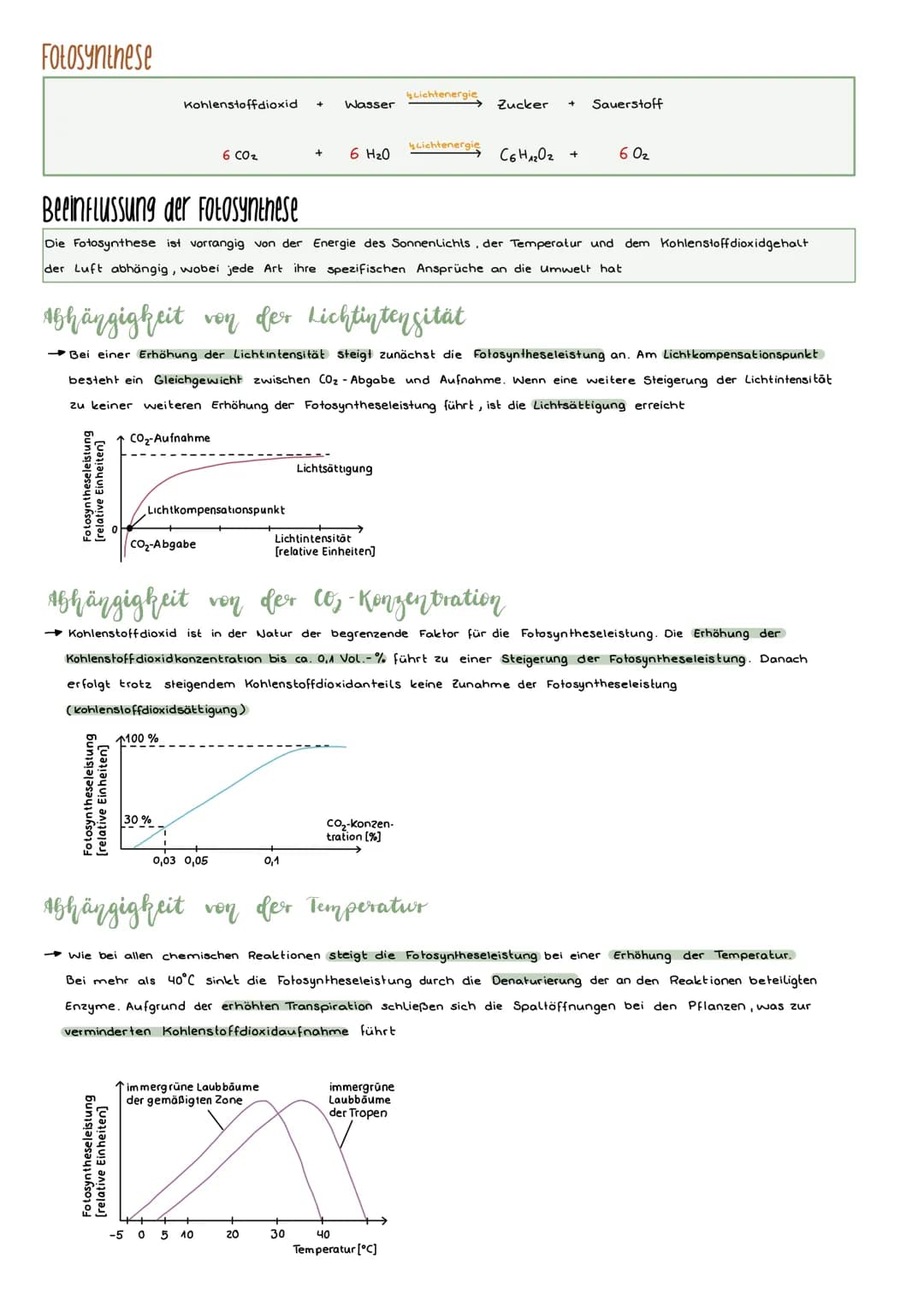 Bau und Funktion eines Laubblattes
Blattbestandteil
Alemhöhle
obere Epidermis
untere Epidermis
Blattadern
(Leitbündel)
Kutikular
untere kuti