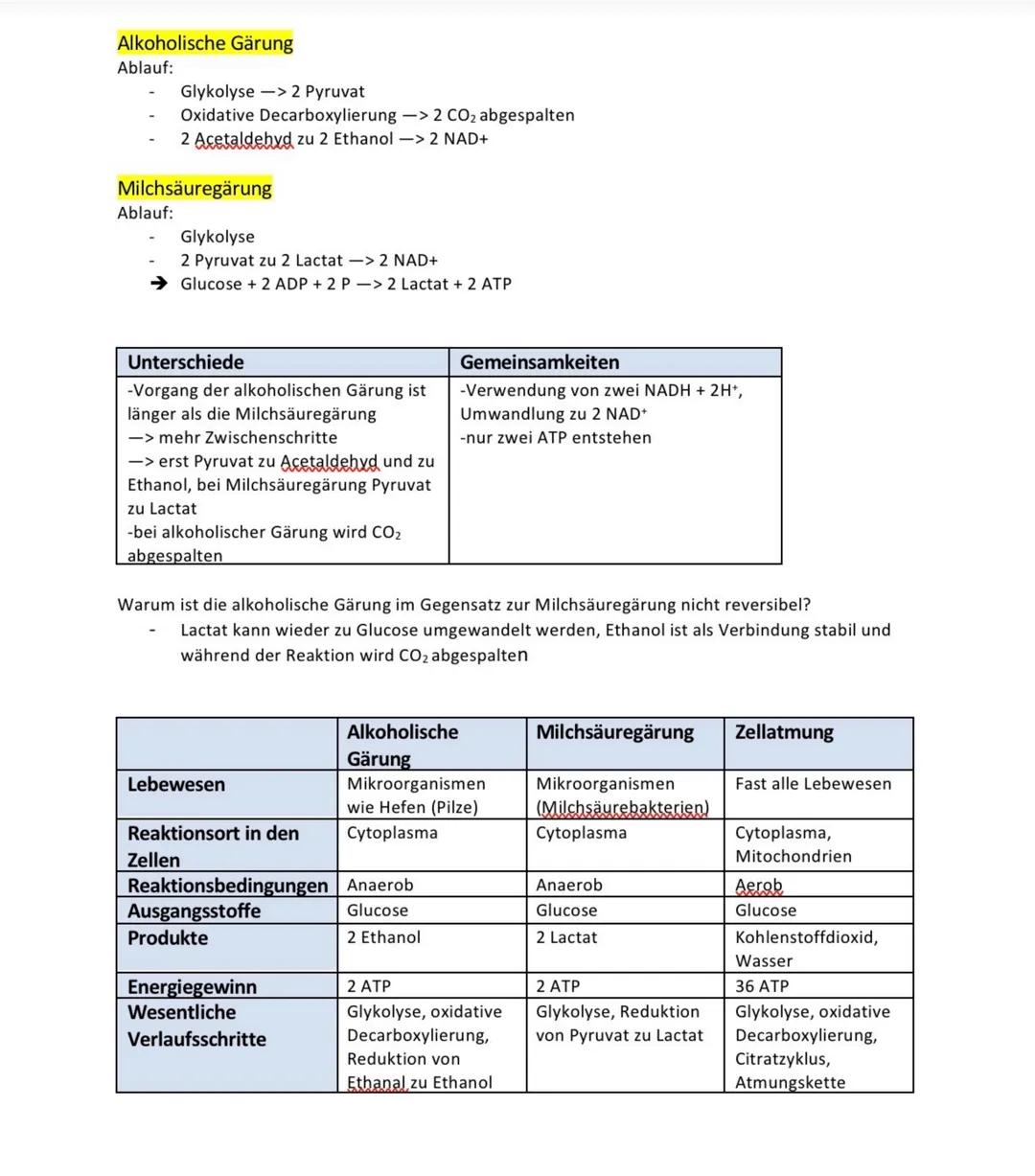 # Alkoholische Gärung
Ablauf:
- Glykolyse -> 2 Pyruvat
- Oxidative Decarboxylierung -> 2 CO2 abgespalten
- 2 Acetaldehyd zu 2 Ethanol -> 2 N
