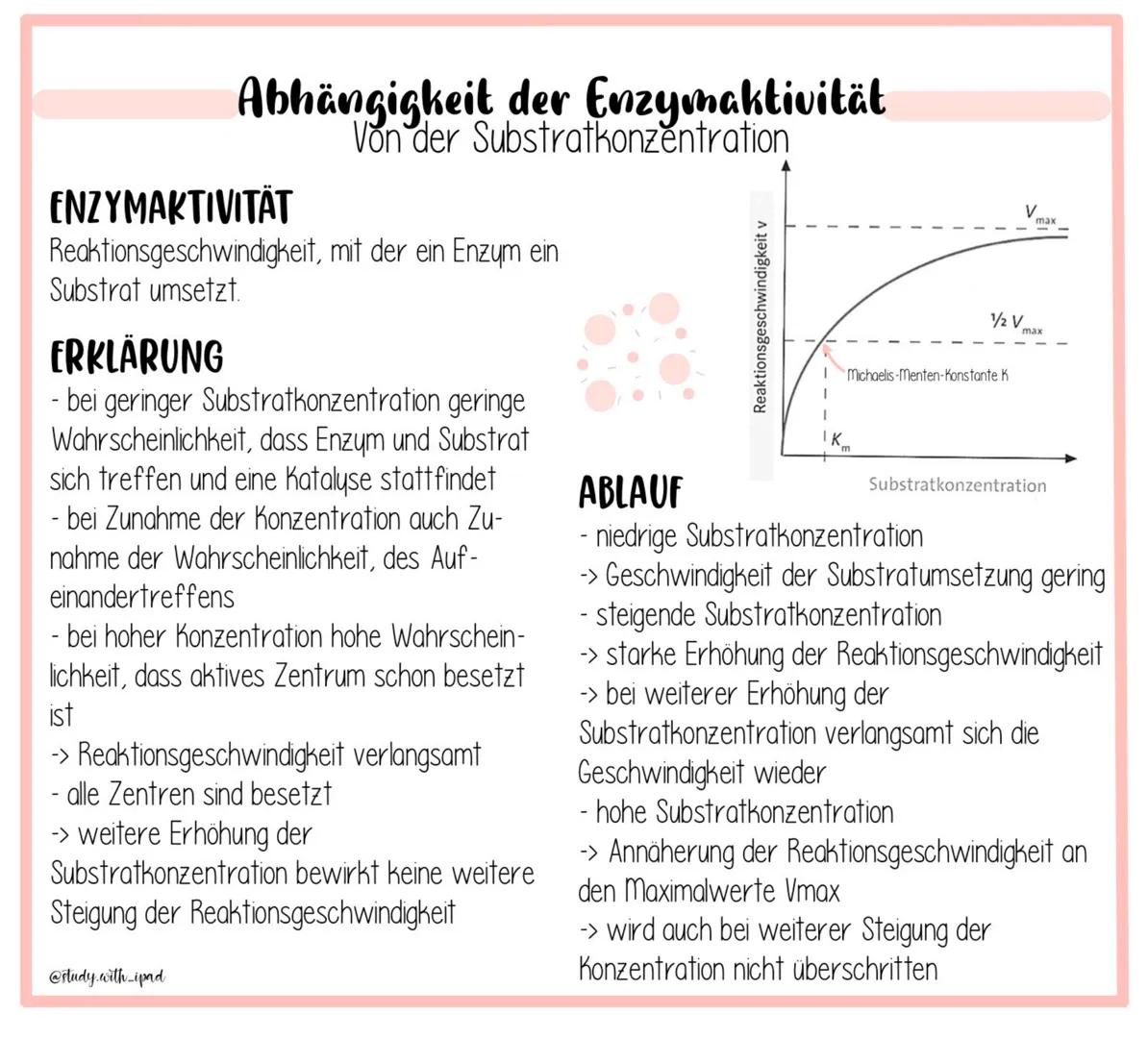 # Abhängigkeit der Enzymaktivität
Von der Substratkonzentration

ENZYMAKTIVITÄT
Reaktionsgeschwindigkeit, mit der ein Enzym ein
Substrat ums