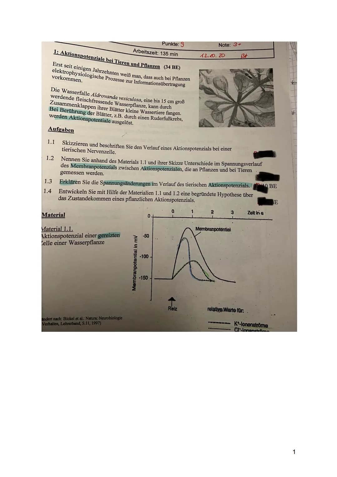 1: Aktionspotenziale bei Tieren und Pflanzen (34 BE)
Erst seit einigen Jahrzehnten weiß man, dass auch bei Pflanzen
elektrophysiologische Pr