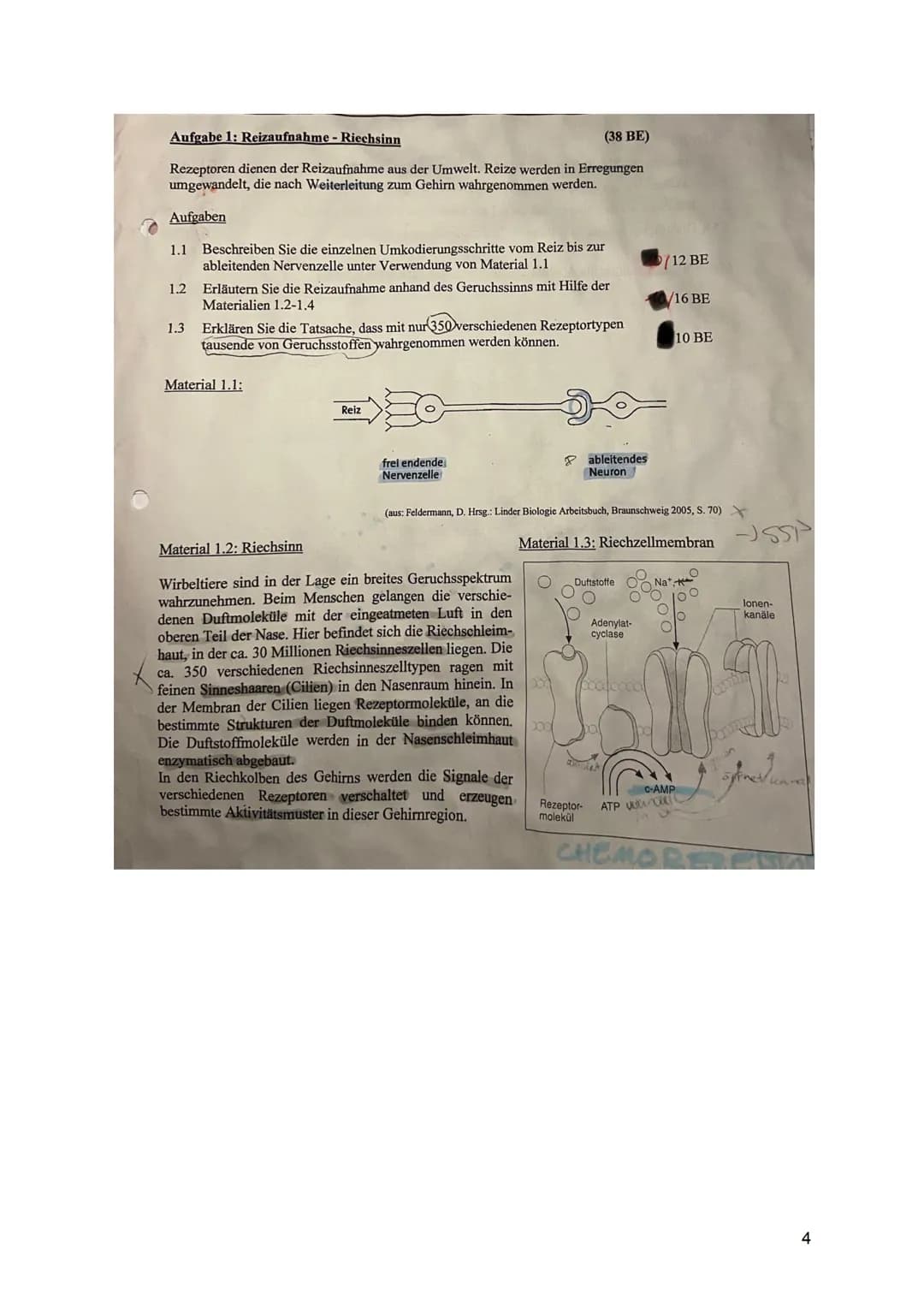 1: Aktionspotenziale bei Tieren und Pflanzen (34 BE)
Erst seit einigen Jahrzehnten weiß man, dass auch bei Pflanzen
elektrophysiologische Pr