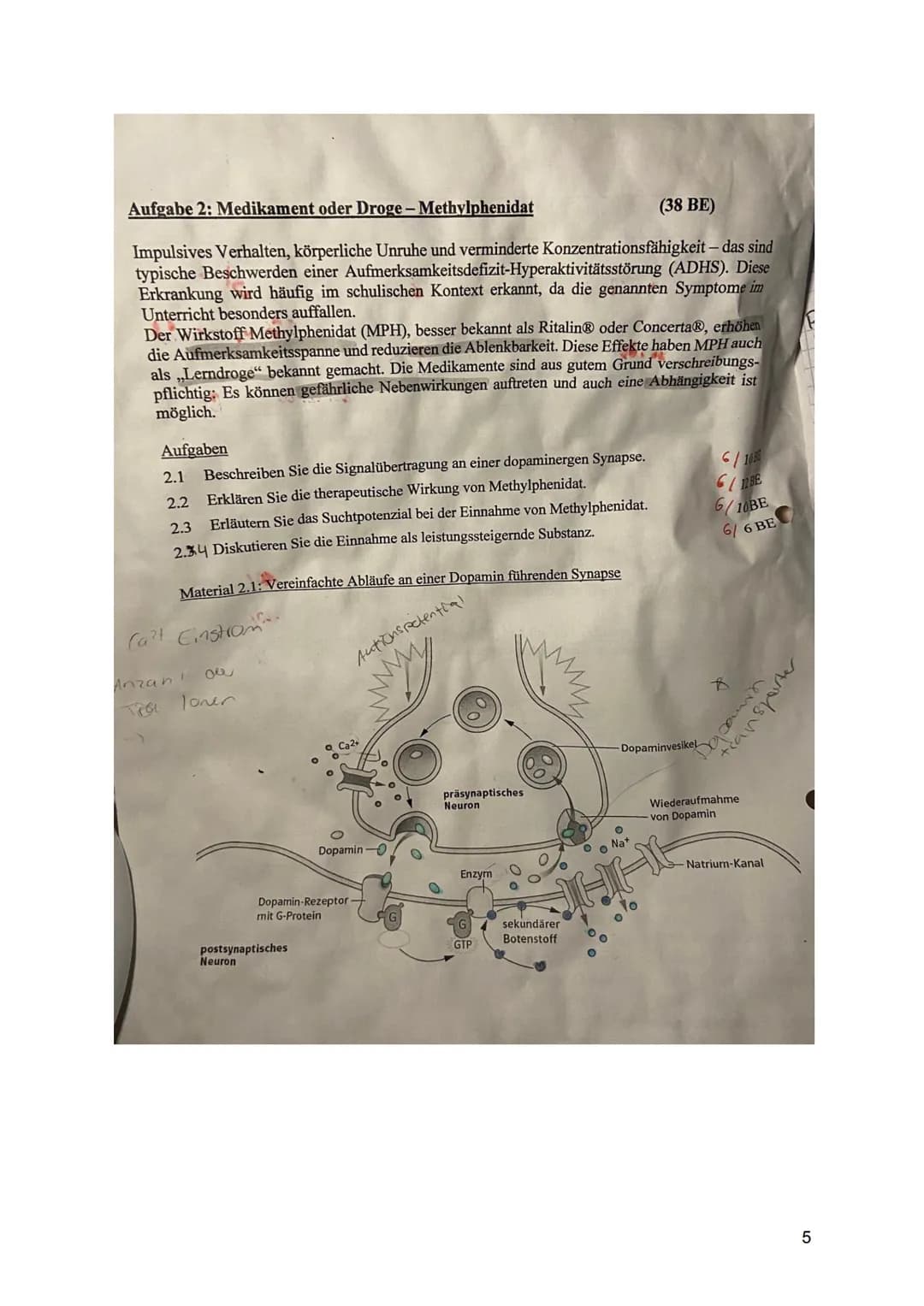 1: Aktionspotenziale bei Tieren und Pflanzen (34 BE)
Erst seit einigen Jahrzehnten weiß man, dass auch bei Pflanzen
elektrophysiologische Pr