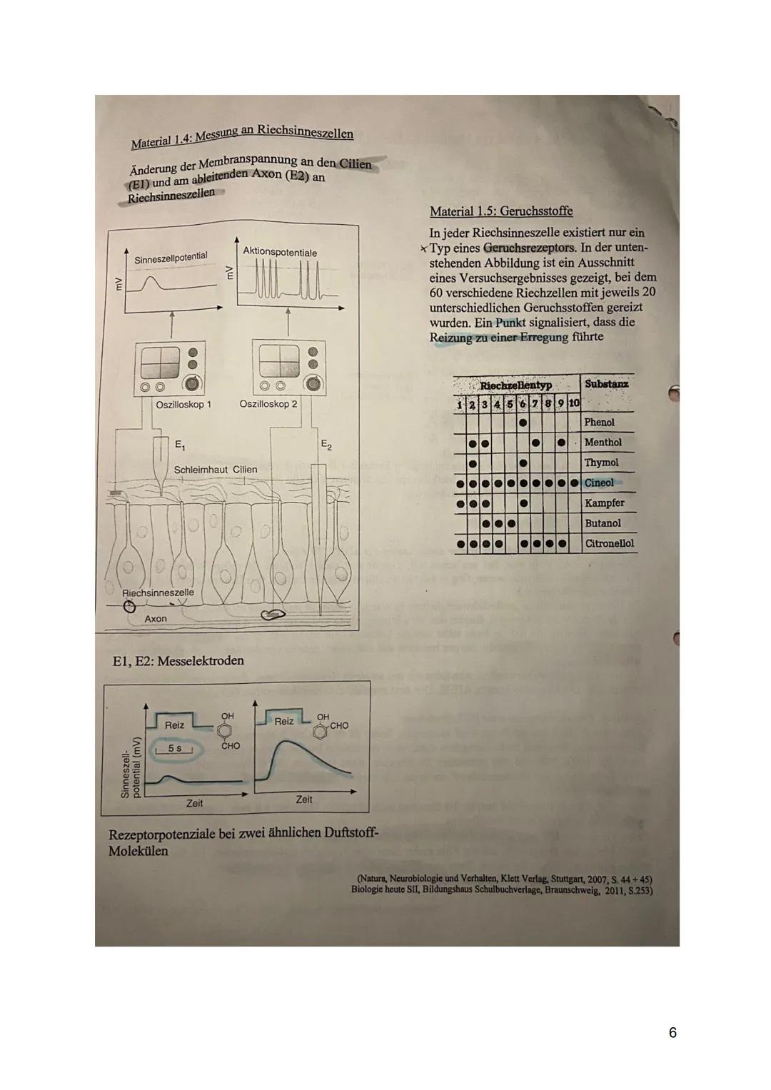 1: Aktionspotenziale bei Tieren und Pflanzen (34 BE)
Erst seit einigen Jahrzehnten weiß man, dass auch bei Pflanzen
elektrophysiologische Pr