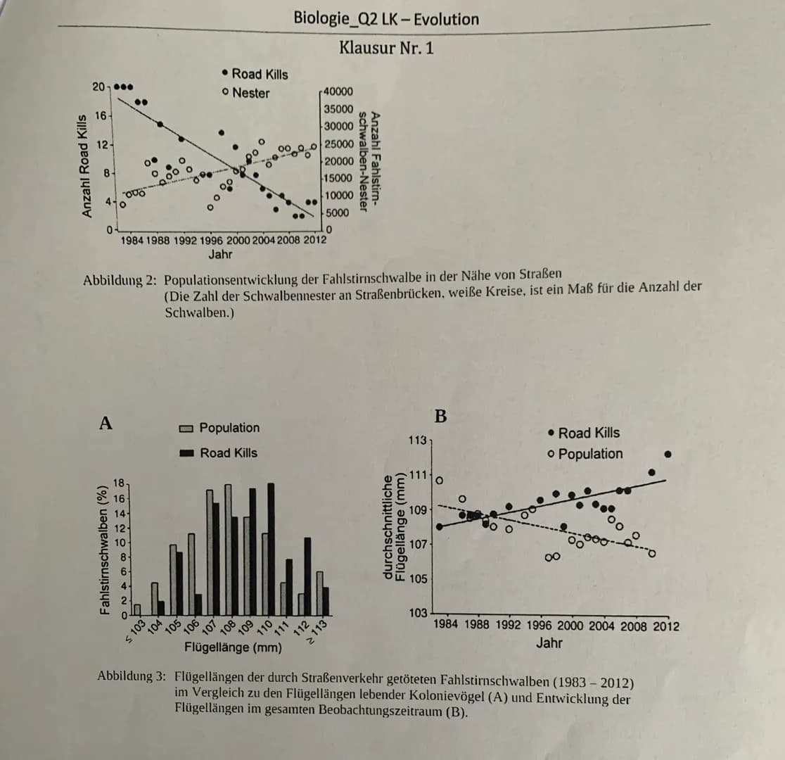 Klausurvorbereitung - Evolution
Glossar - Grundbegriffe
Fachbegriff
Varietäten
Biologische Fitness
Selektion
Sexuelle Selektion
Natürliche S