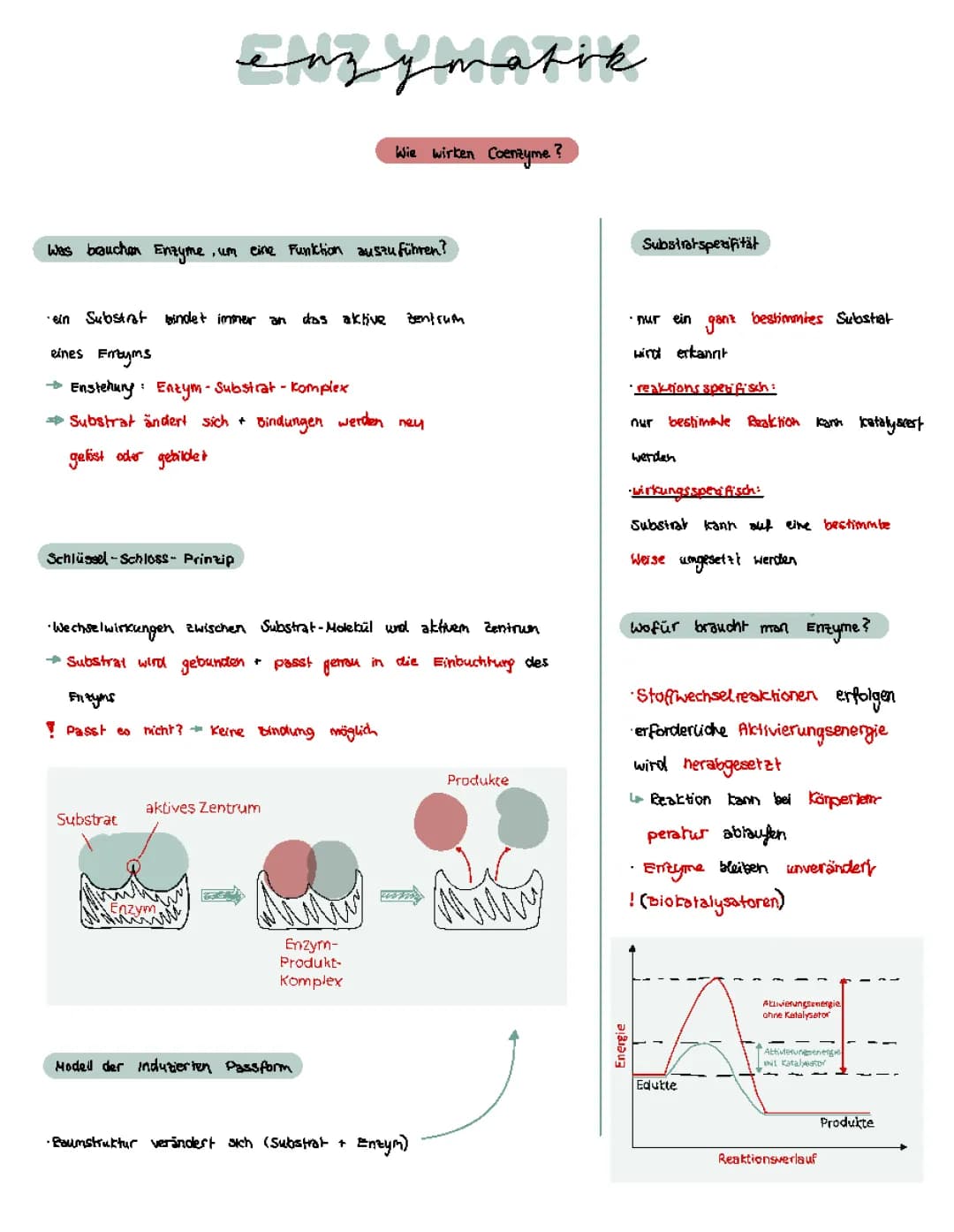 Enzymatik