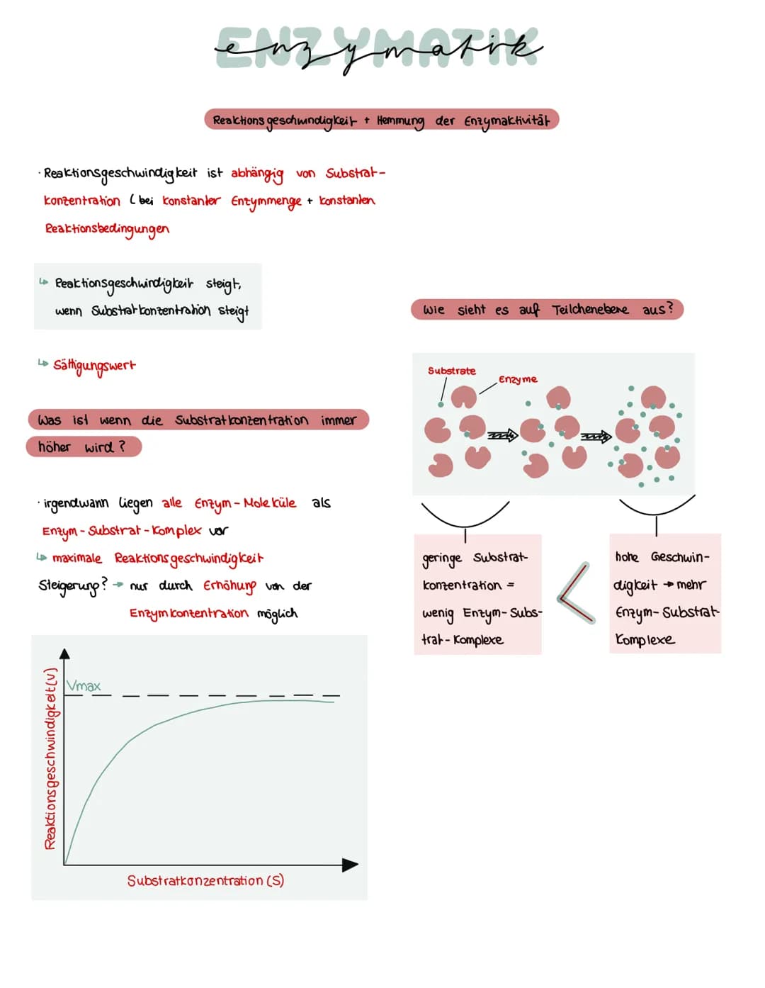 Was brauchen Enzyme, um eine Funktion auszuführen?
ein Substrat bindet immer an
eines Enzyms
→ Enstehury: Enzym - Substrat - komplex
Substra