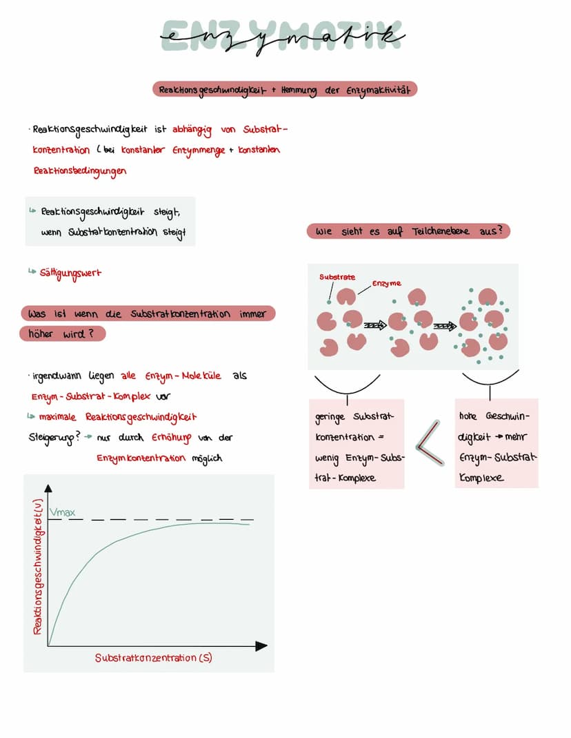 Was brauchen Enzyme, um eine Funktion auszuführen?
ein Substrat bindet immer an
eines Enzyms
→ Enstehury: Enzym - Substrat - komplex
Substra