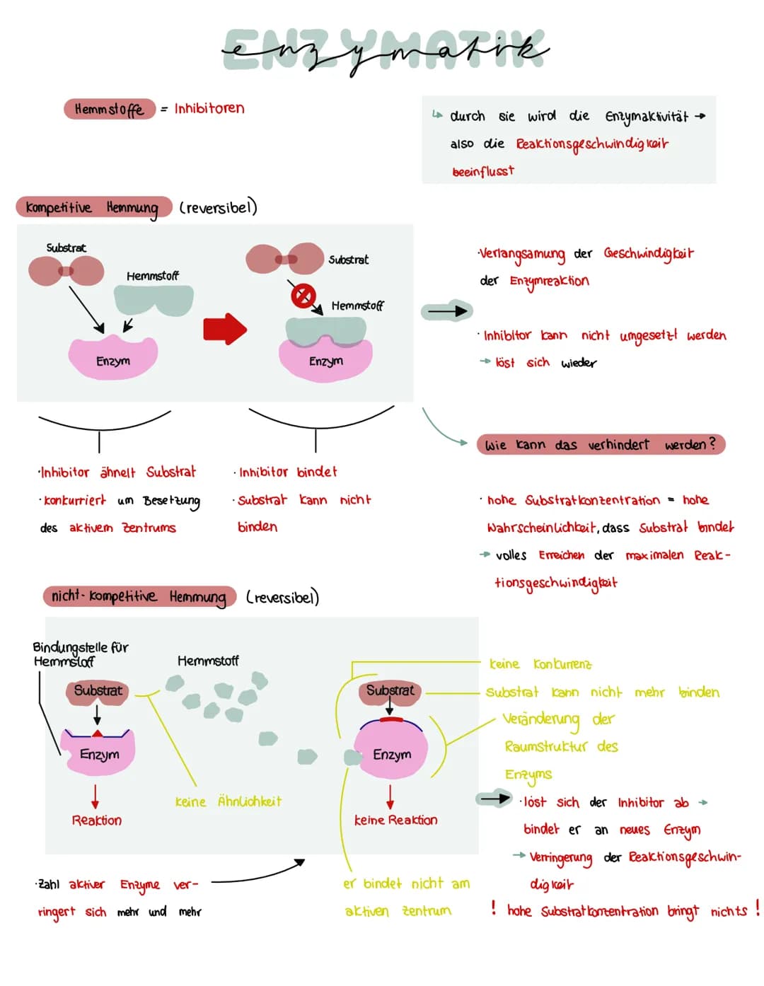 Was brauchen Enzyme, um eine Funktion auszuführen?
ein Substrat bindet immer an
eines Enzyms
→ Enstehury: Enzym - Substrat - komplex
Substra
