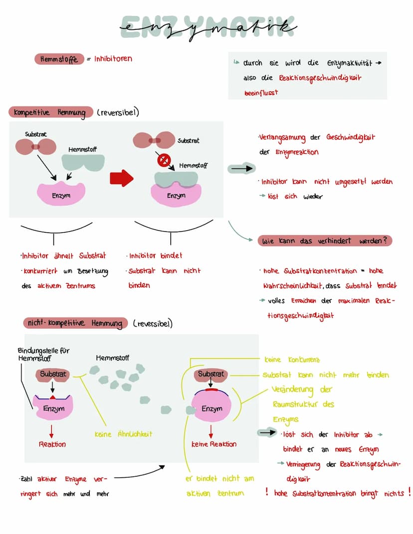 Was brauchen Enzyme, um eine Funktion auszuführen?
ein Substrat bindet immer an
eines Enzyms
→ Enstehury: Enzym - Substrat - komplex
Substra