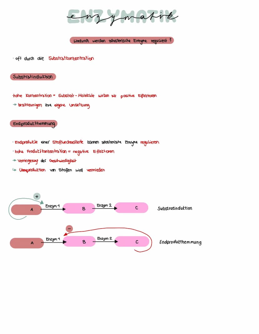 Was brauchen Enzyme, um eine Funktion auszuführen?
ein Substrat bindet immer an
eines Enzyms
→ Enstehury: Enzym - Substrat - komplex
Substra