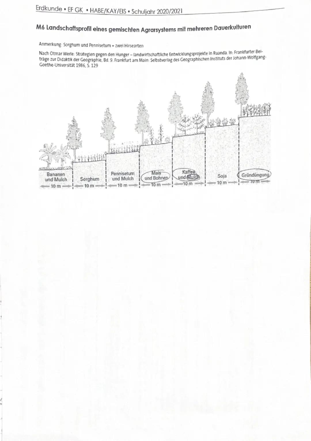 1. Klausur am 11.11.2020
Name: Caroune Brorkes
Thema: Landwirtschaftliche Nutzung der immerfeuchten Tropen am Beispiel des
Bananenanbaus in 