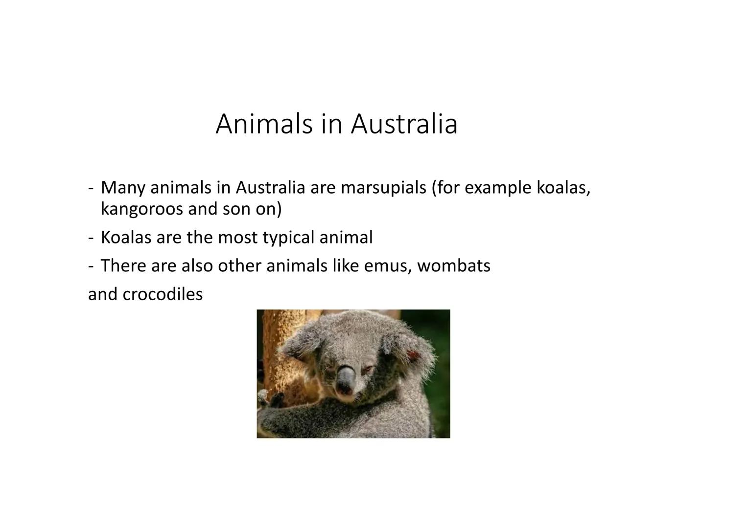 Australia Facts about Australia
●
It lies between the indien and pacific ocean
The capital is canberra
• The largest cities are Sydney, Bris