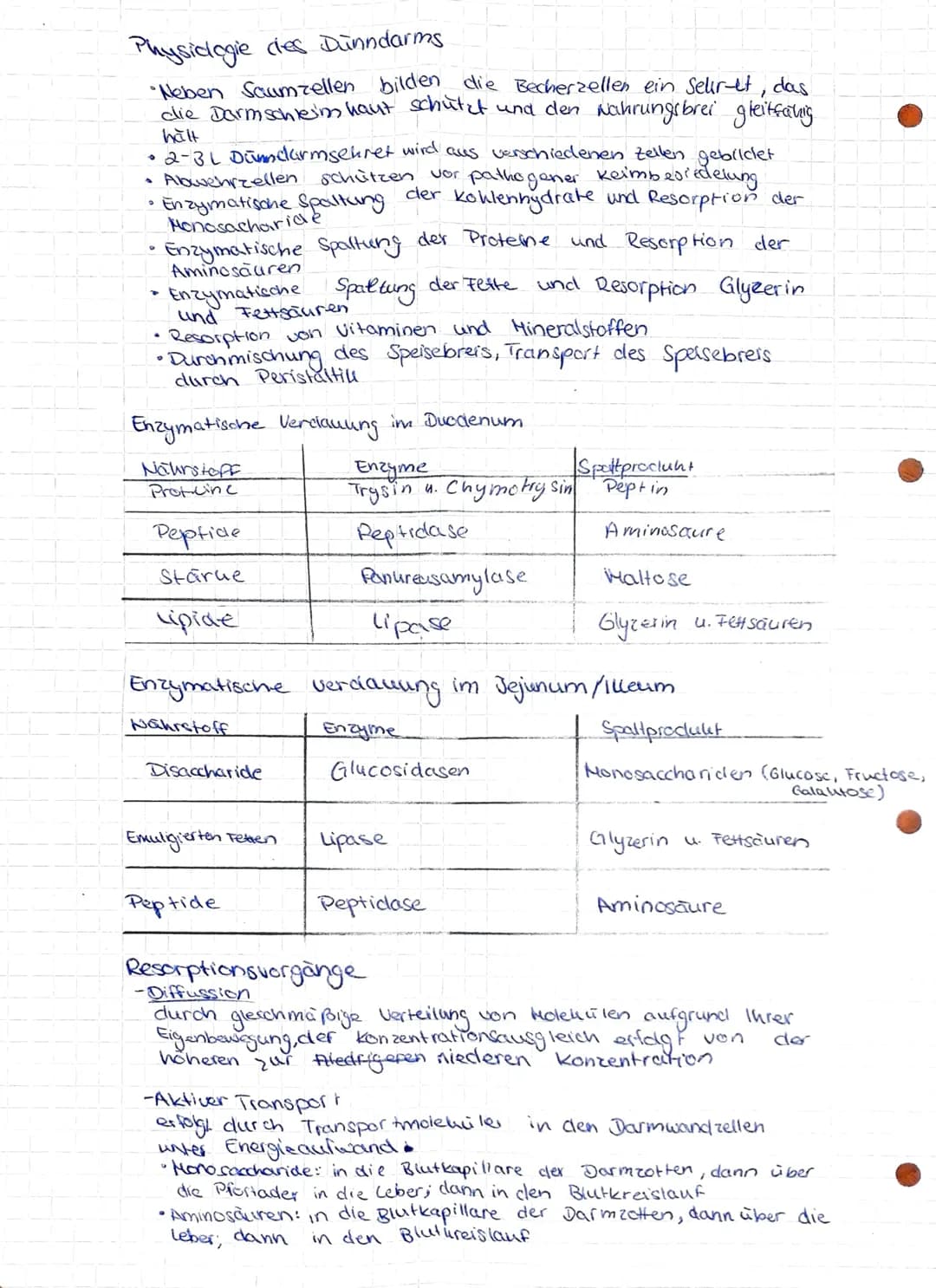 Gesundheit und Pflege
Übersicht über das Verdauungssystem
Hund (Os).
Zunge (linguna).
unterzungen speichel-
druse (Glandula
Sublingualis)
Un