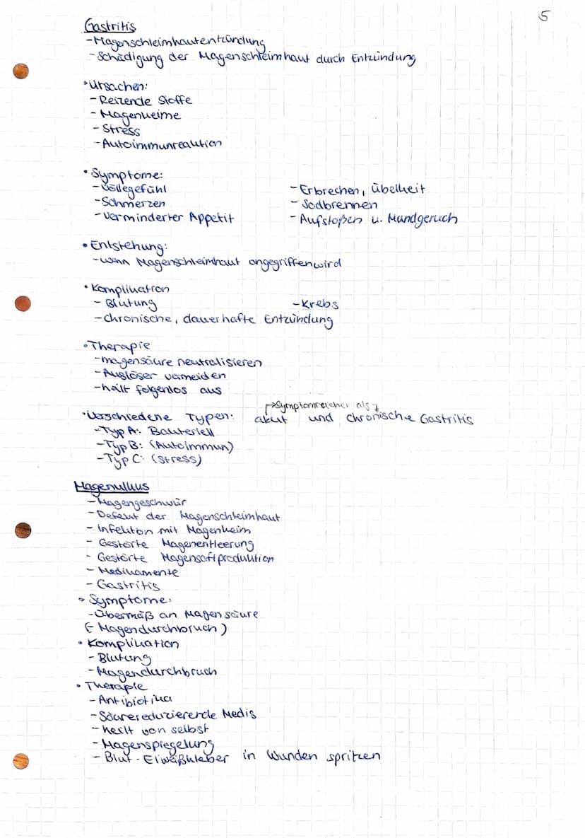 Gesundheit und Pflege
Übersicht über das Verdauungssystem
Hund (Os).
Zunge (linguna).
unterzungen speichel-
druse (Glandula
Sublingualis)
Un