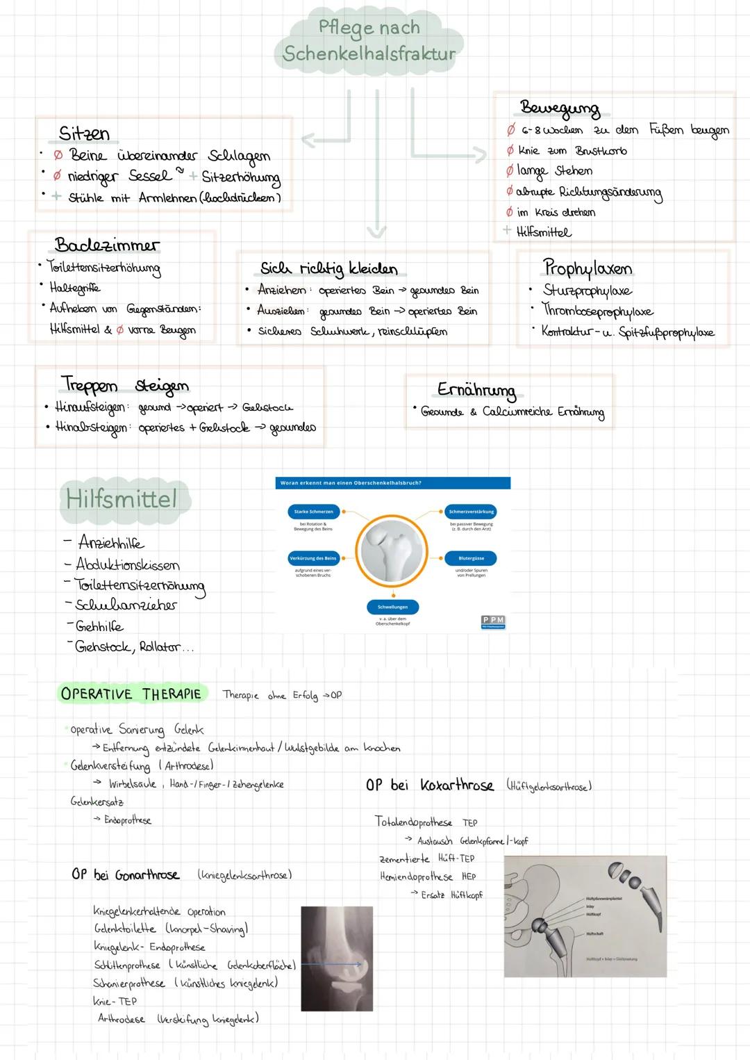 Oberschenkelhalsfraktur
(SHF)
Oberschenkel-Femur
(= Bruchspalt zw. Hüftkopf & Trochanter major)
Symptome
Außenrotation & Verkürzung
des Bein