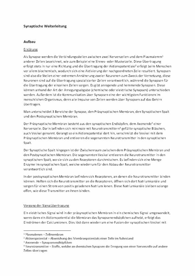 Know Referat synaptische Weiterleitung thumbnail