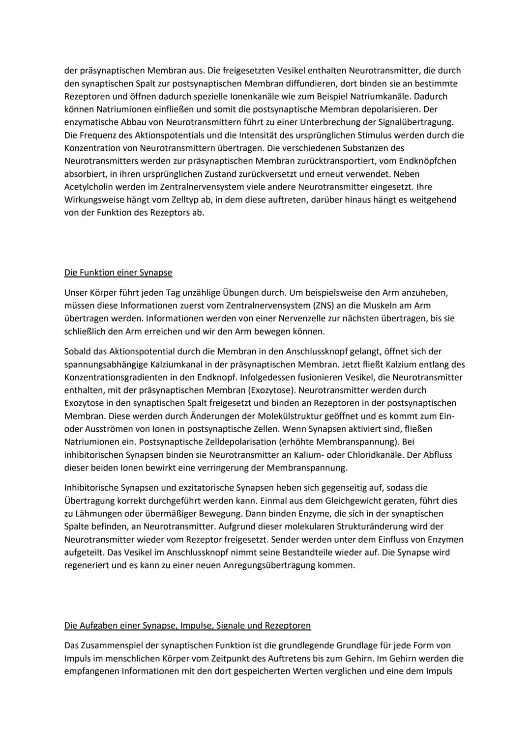 Synaptische Weiterleitung
Aufbau
Erklärung
Als Synapse werden die Verbindungsstellen zwischen zwei Nervenzellen und dem Plasmalemm¹
anderer 