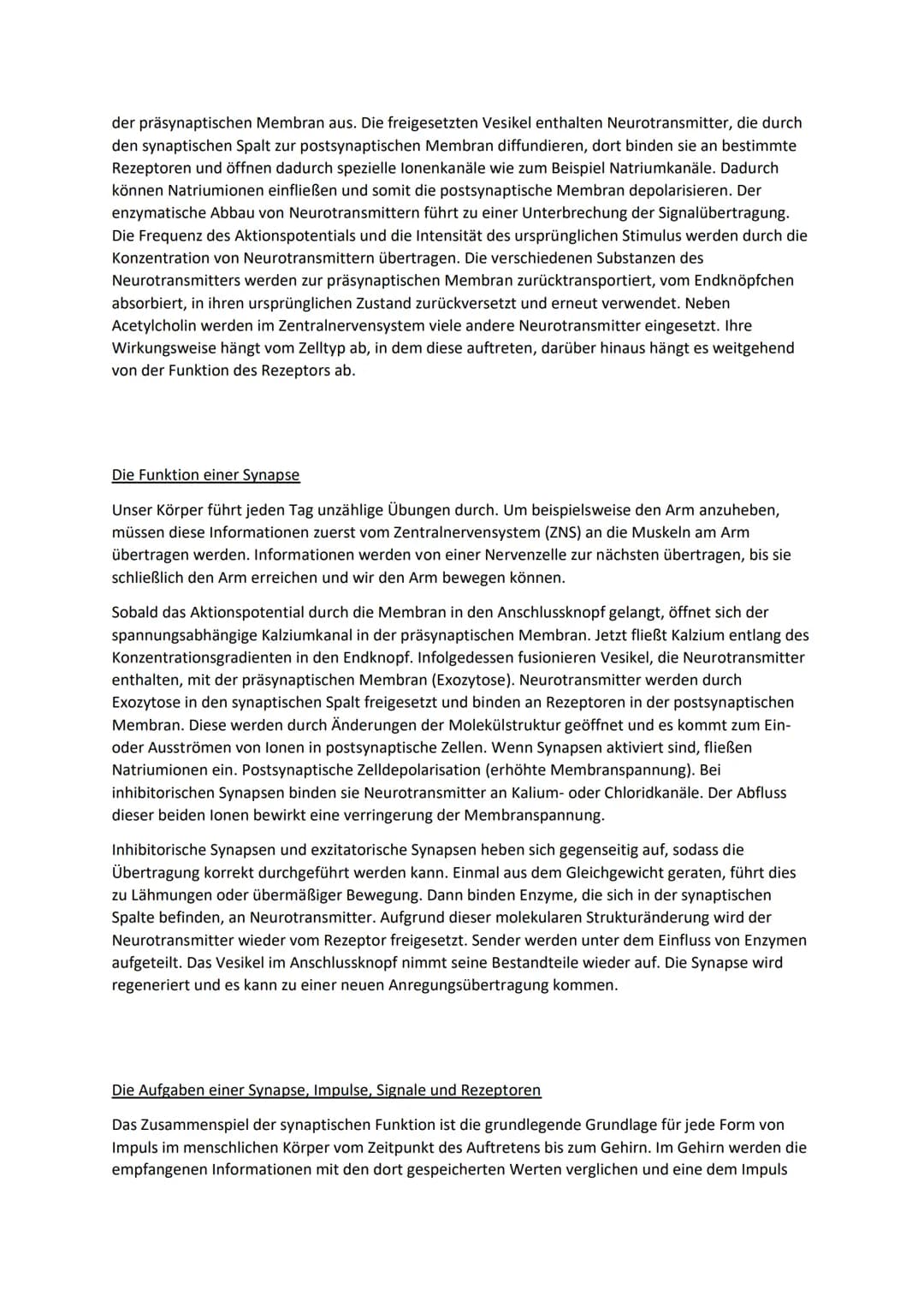 Synapse: Aufbau, Funktion und Erregungsübertragung