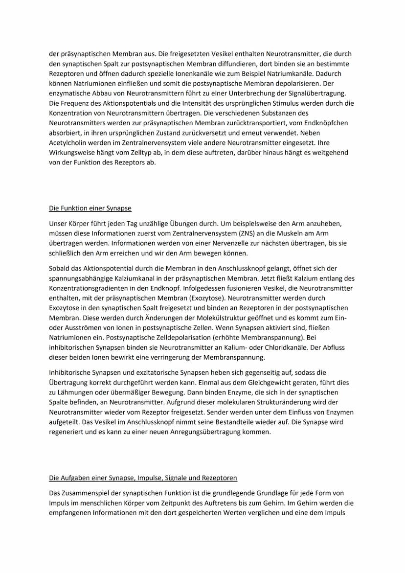 Synaptische Weiterleitung
Aufbau
Erklärung
Als Synapse werden die Verbindungsstellen zwischen zwei Nervenzellen und dem Plasmalemm¹
anderer 