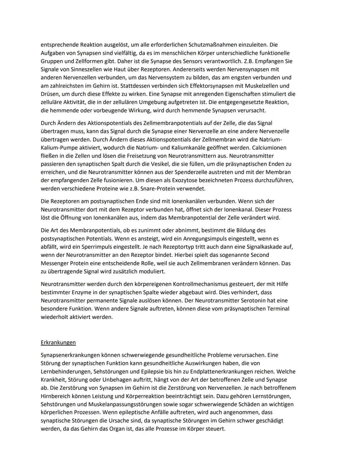 Synaptische Weiterleitung
Aufbau
Erklärung
Als Synapse werden die Verbindungsstellen zwischen zwei Nervenzellen und dem Plasmalemm¹
anderer 