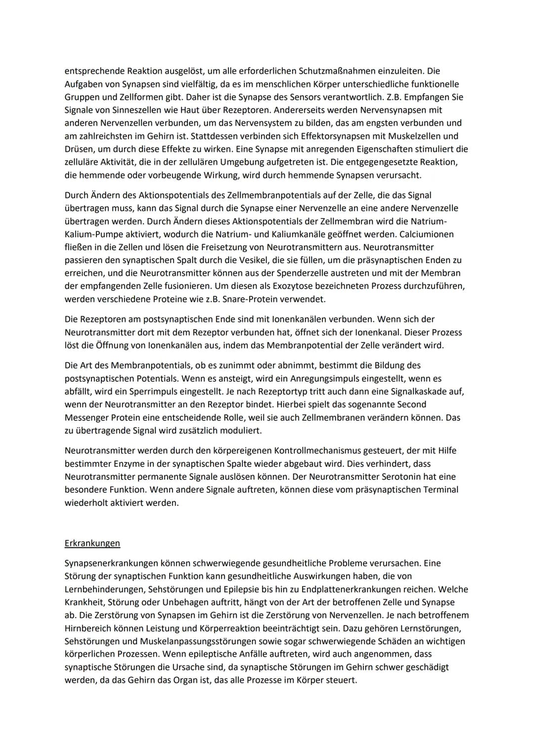 Synapse: Aufbau, Funktion und Erregungsübertragung