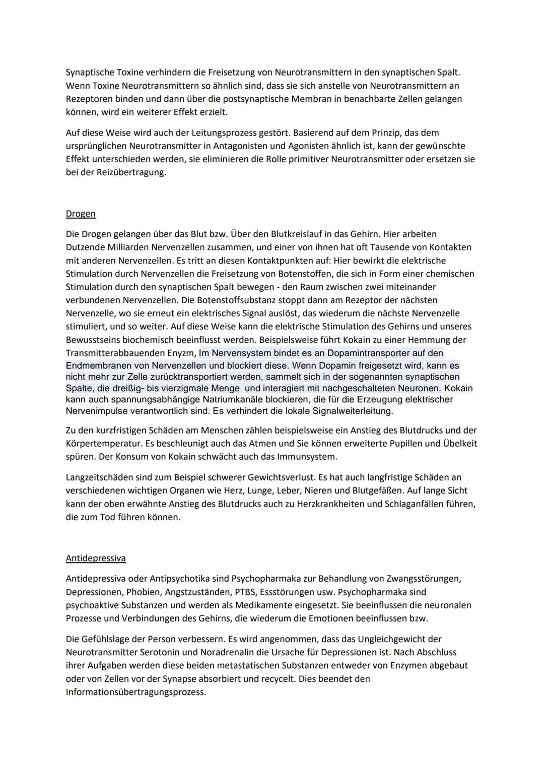 Synaptische Weiterleitung
Aufbau
Erklärung
Als Synapse werden die Verbindungsstellen zwischen zwei Nervenzellen und dem Plasmalemm¹
anderer 