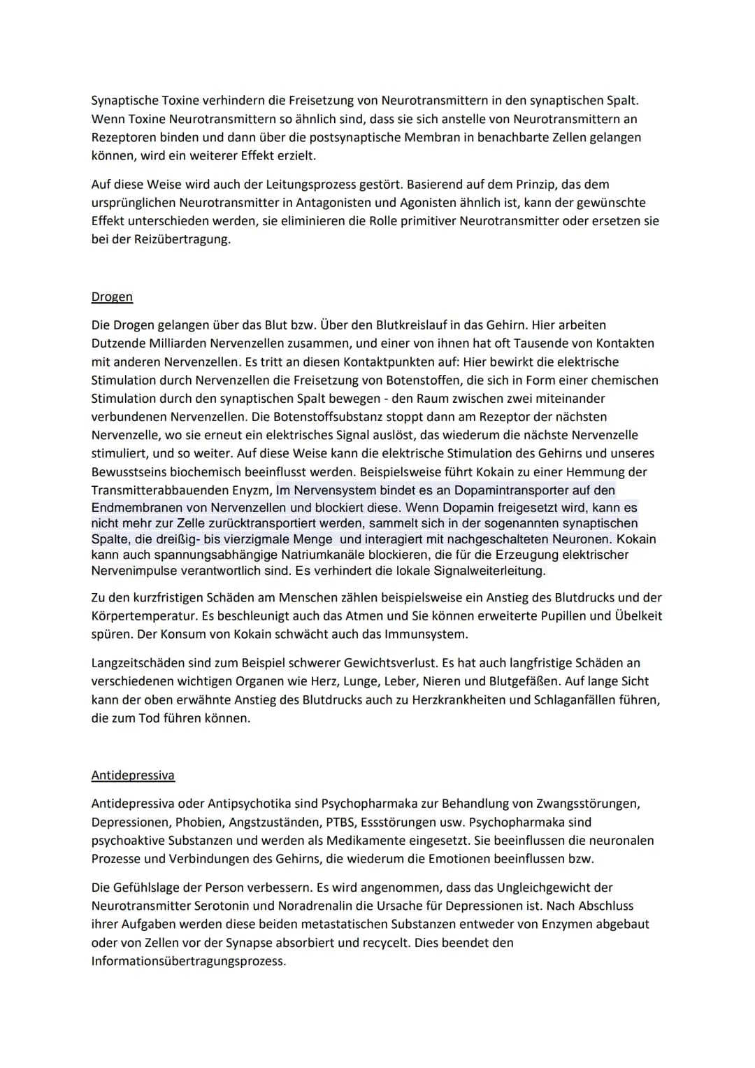 Synapse: Aufbau, Funktion und Erregungsübertragung