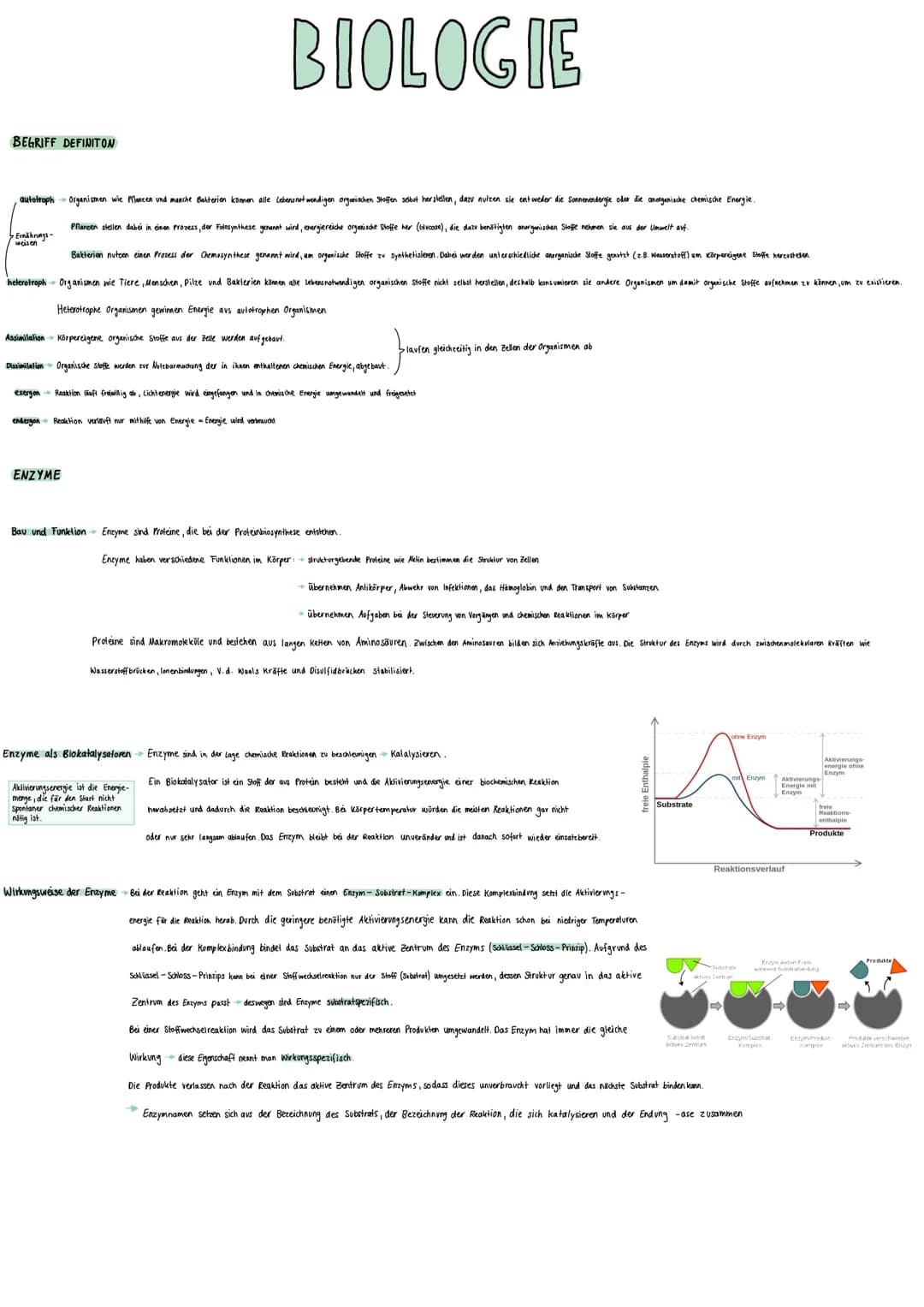 BEGRIFF DEFINITION
autotroph Organismen wie Pflanzen und manche Batterien können alle Lebens notwendigen organischen Stoffen selbst herstell