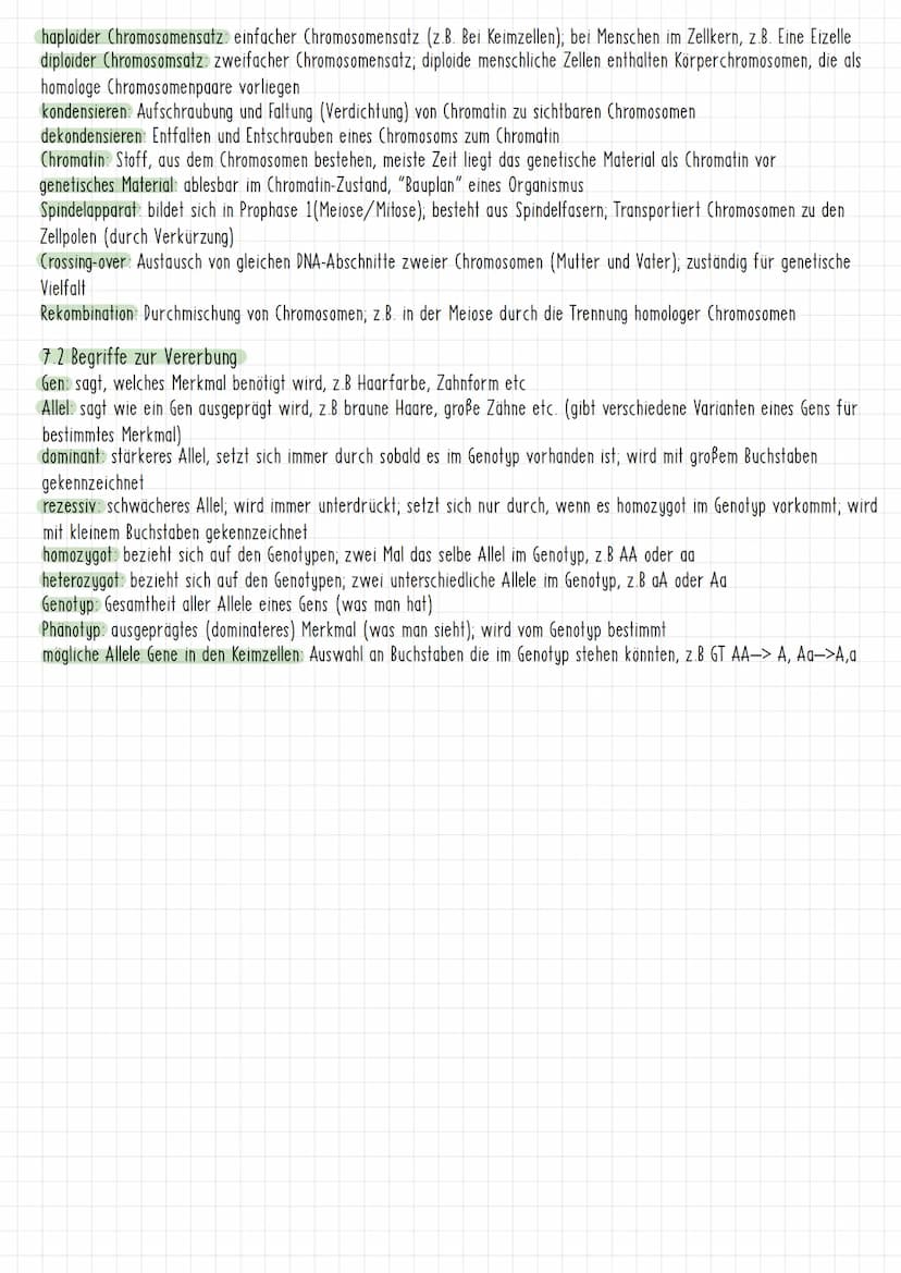 Themen:
1) Schirmalgen / Bedeutung des Zellkerns
2) Aufbau des Chromosoms/ Chromosomen
✓
allgemein
3) Mitose (Phasen ¹ Vorgänge + Skizzieren