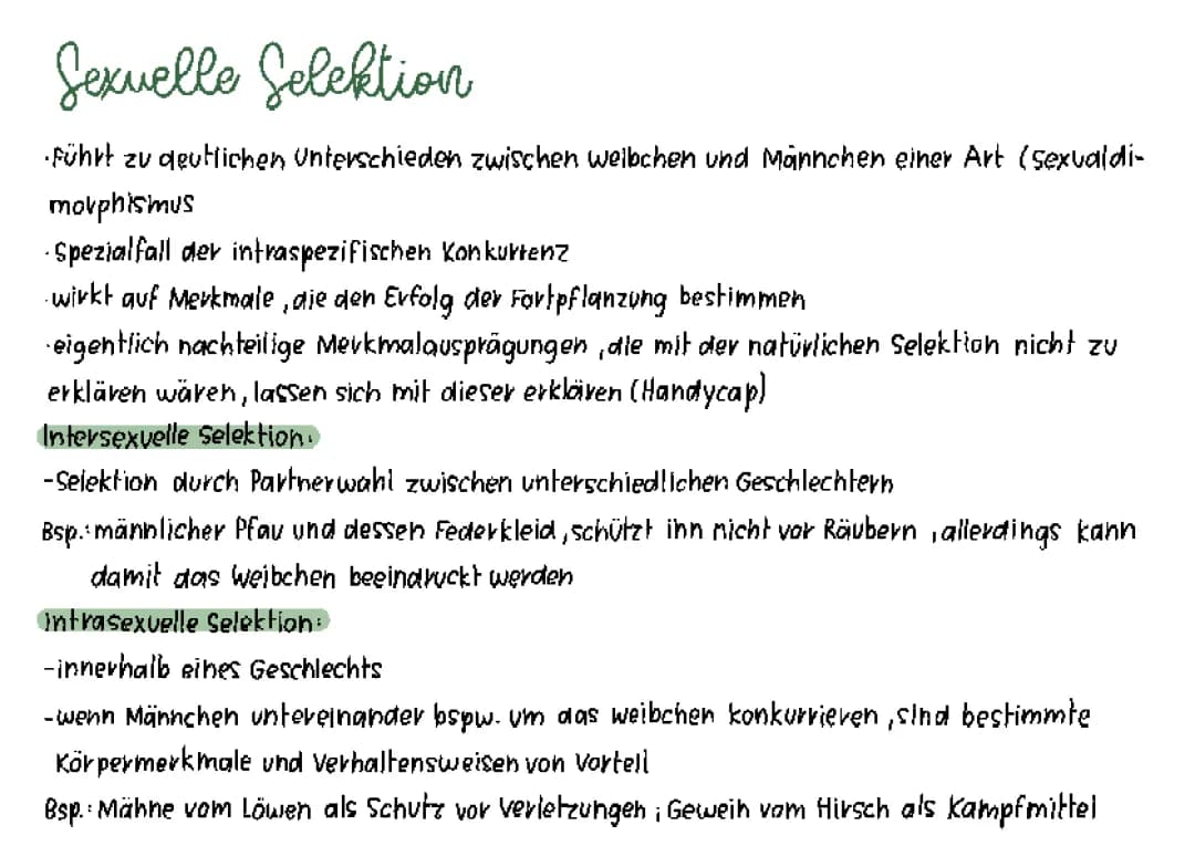 Sexuelle Selektion einfach erklärt: Beispiele von Löwen und Pfauen
