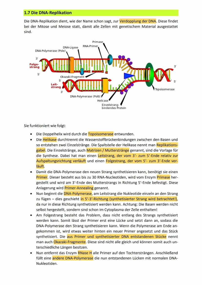 Zusammenfassung Genetik
1. Allgemeines zur Genetik
1.1 Kreuzungsschemata
In den Kreuzungsschemata haben wir uns lediglich mit dem dominant-r