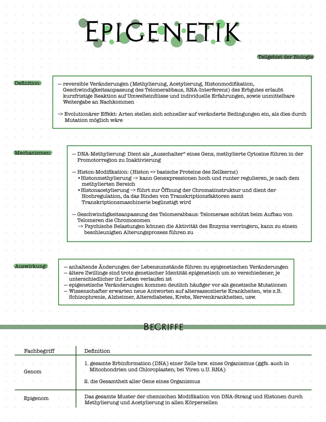 Definition:
Mechanismen:
Auswirkung:
Fachbegriff
Genom
Epigenom
EPIGENETIK
- reversible Veränderungen (Methylierung, Acetylierung, Histonmod