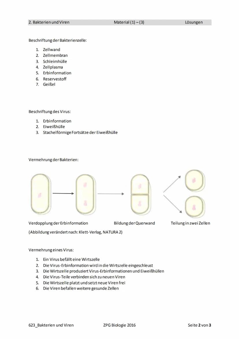 2. Bakterien und Viren
3
623_Bakterien und Viren
Abbildung 3: Vermehrung eines Virus
Quelle: Klett-Verlag, PRISMA NWA Biologie 4/5
Material 