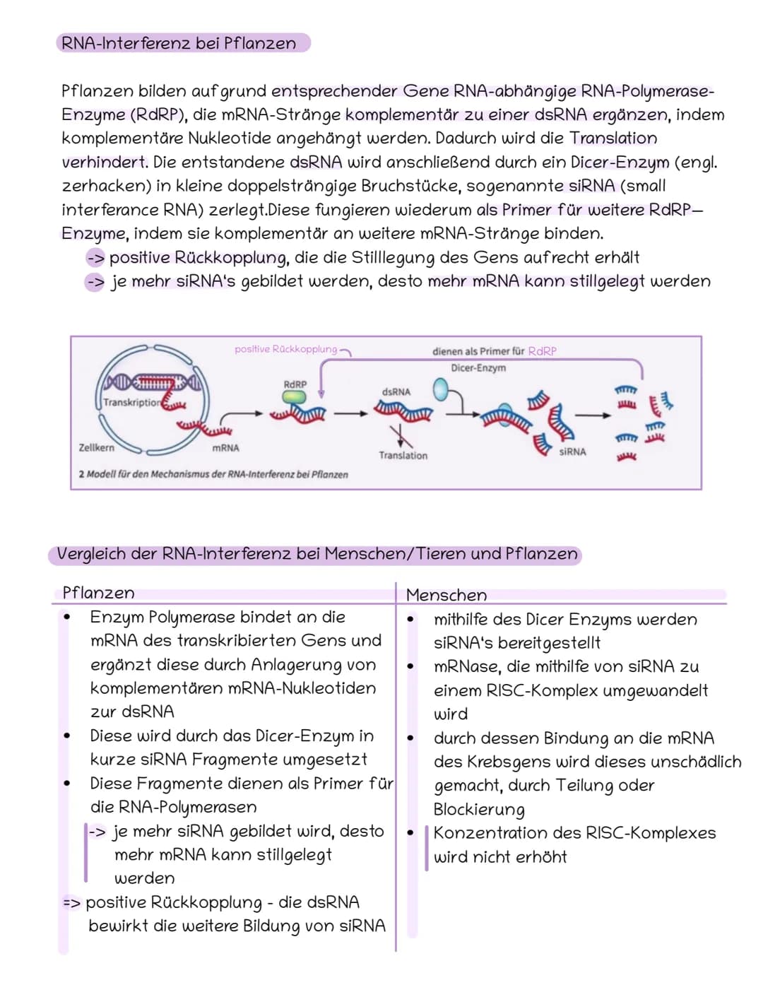 S. 148 f.
Ziel der RNA-Interferenz
RNA-Interferenz
Ablauf
Basiskonzept: Steuerung und Regelung
Blockierung oder Zerschneidung einer bestimmt