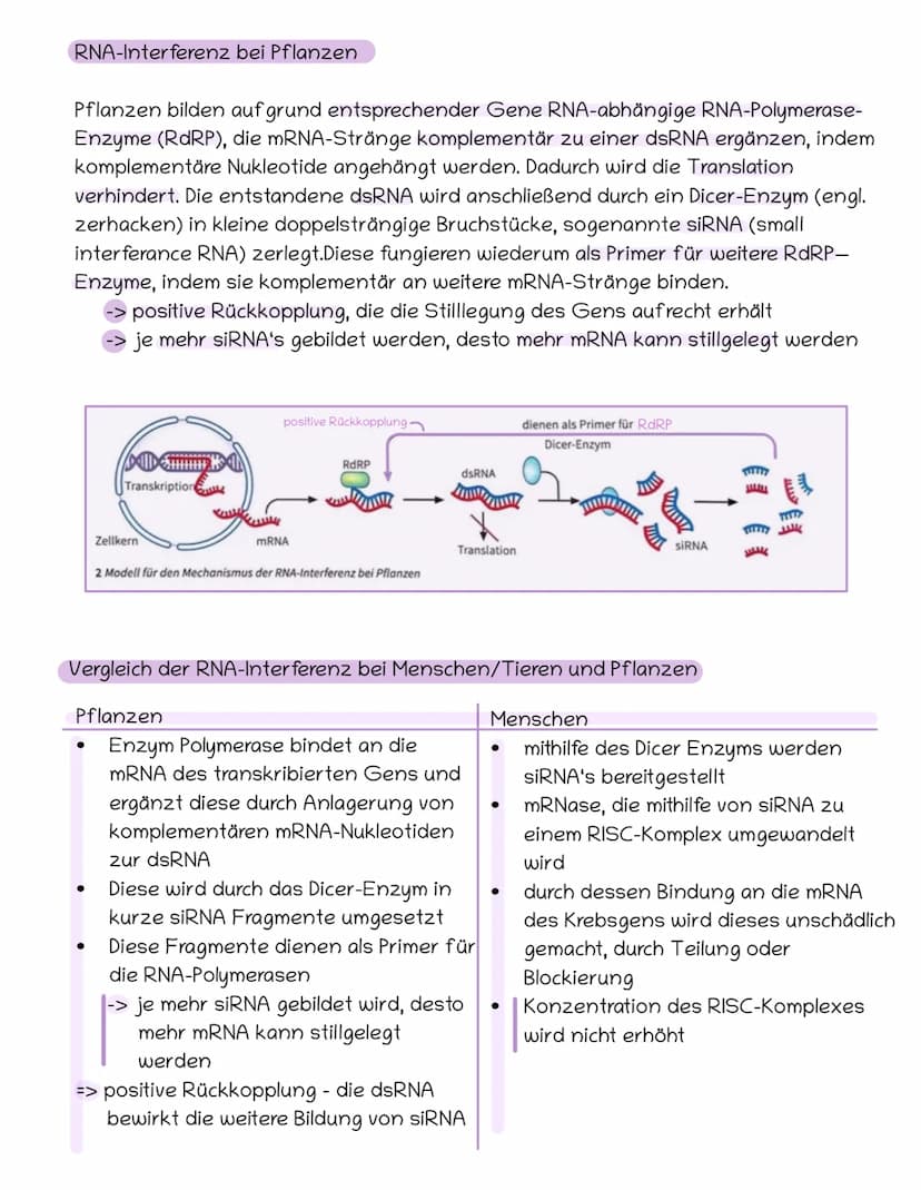 S. 148 f.
Ziel der RNA-Interferenz
RNA-Interferenz
Ablauf
Basiskonzept: Steuerung und Regelung
Blockierung oder Zerschneidung einer bestimmt