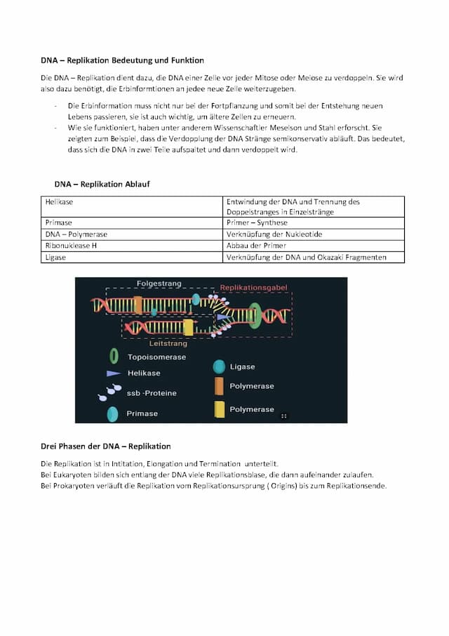 Know DNA Klausur thumbnail