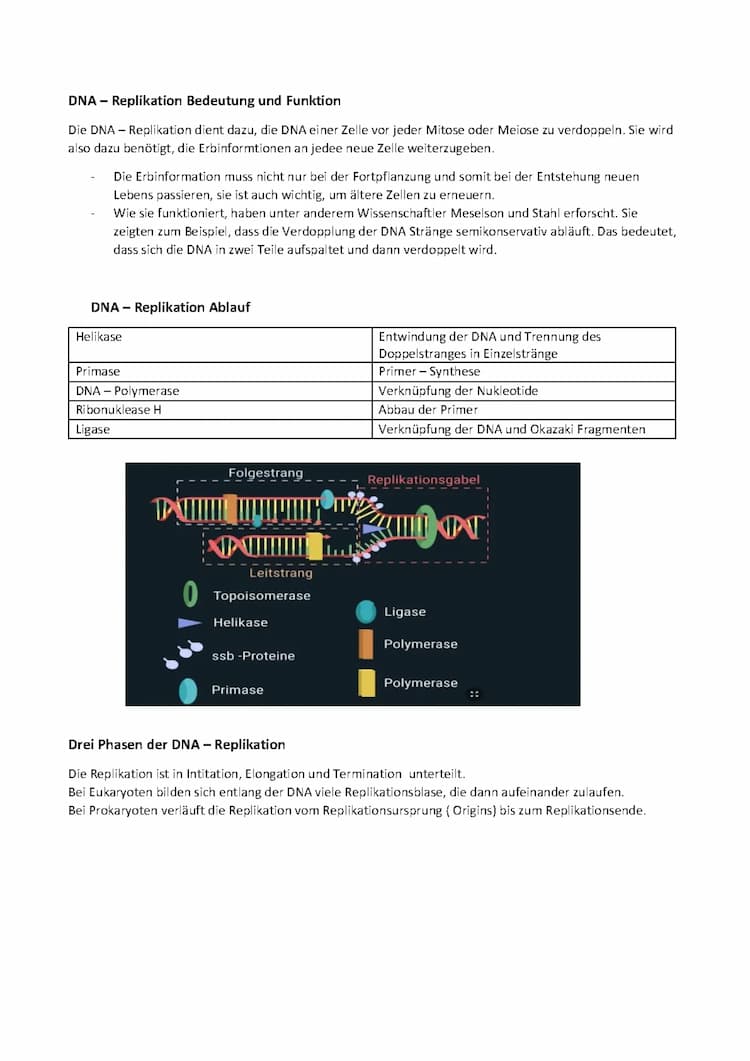 Know DNA Klausur thumbnail