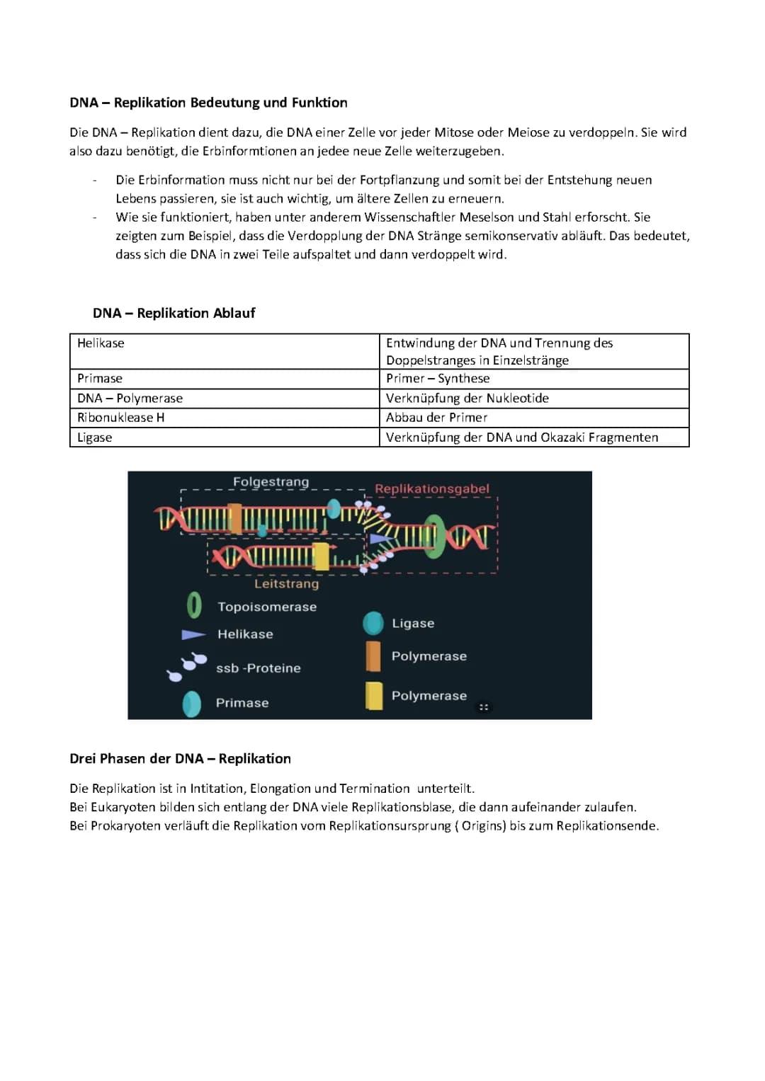 DNA Klausur