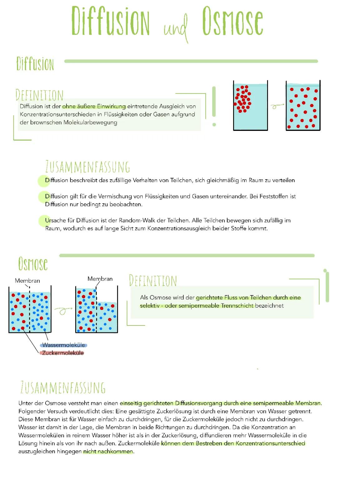 Diffusion und Osmose einfach erklärt: Beispiele, Unterschiede & Biologie