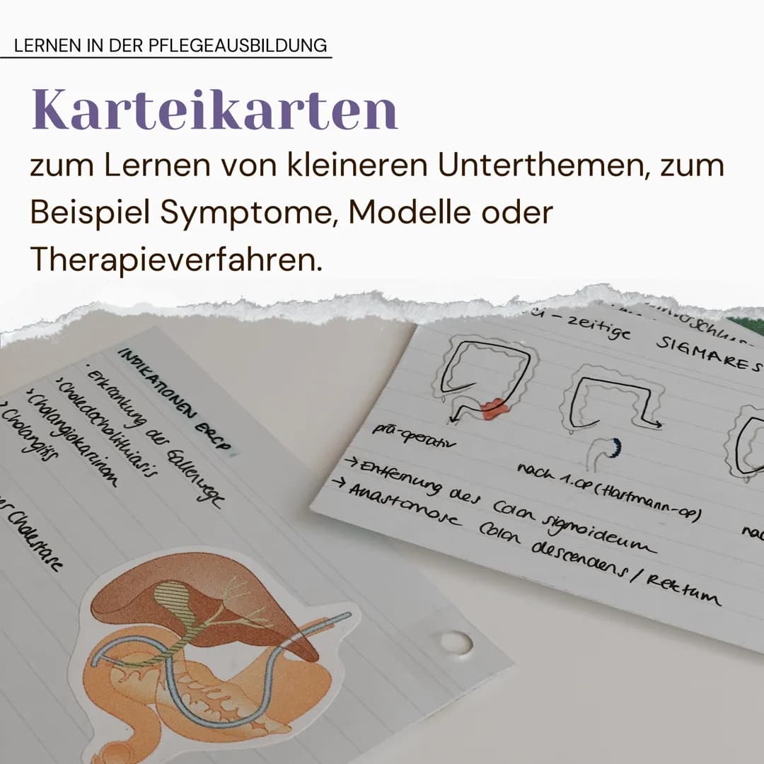 LERNEN IN DER PFLEGEAUSBILDUNG
allgemein
2
nicht nur einzelne (Klausur-)Fragen
lernen, sondern alles! es wird dich im
Berufsleben weiterbrin