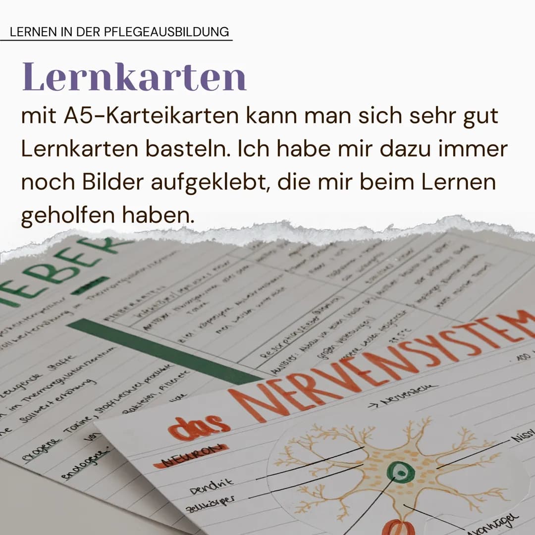 LERNEN IN DER PFLEGEAUSBILDUNG
allgemein
2
nicht nur einzelne (Klausur-)Fragen
lernen, sondern alles! es wird dich im
Berufsleben weiterbrin
